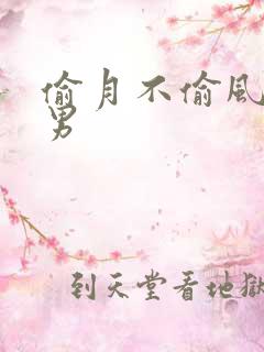 偷月不偷风 北男