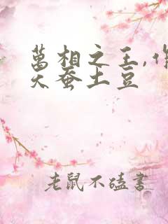 万相之王,作者天蚕土豆