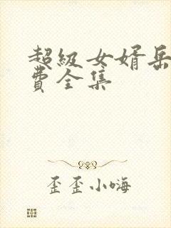 超级女婿岳风免费全集