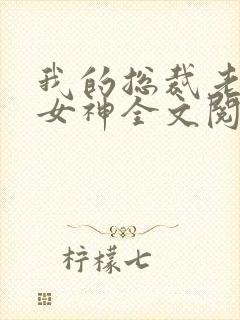 我的总裁老婆是女神全文阅读