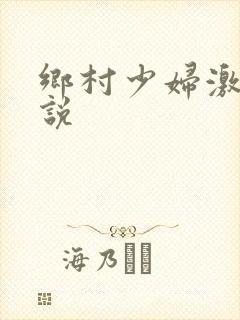 乡村少妇激情小说