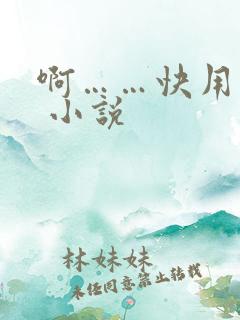 啊……快用力插 小说