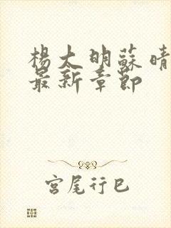 杨大明苏晴小说最新章节
