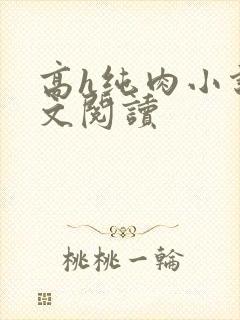 高h纯肉小说全文阅读