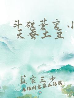 斗破苍穹 小说 天蚕土豆