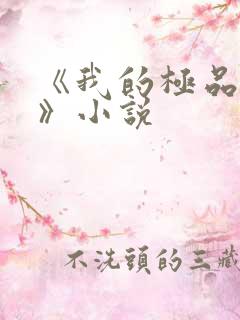 《我的极品小姨》小说
