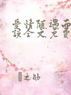 爱情随遇而安小说全文免费阅读