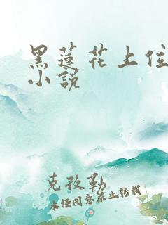 黑莲花上位手册小说