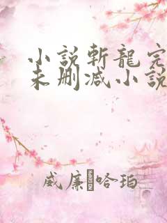 小说斩龙完整版未删减小说