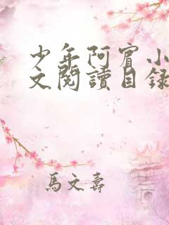 少年阿宾小说全文阅读目录