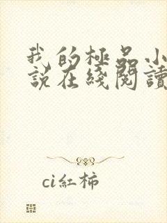 我的极品小姨小说在线阅读免费