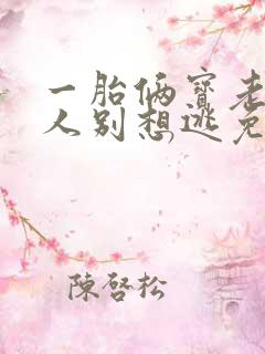 一胎俩宝老婆大人别想逃免费小说