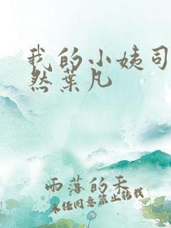 我的小姨司空嫣然叶凡