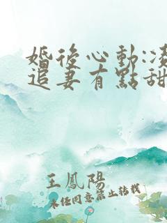 婚后心动:凌总追妻有点甜原著