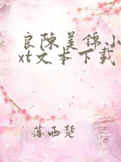 良陈美锦小说txt文本下载