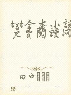 txt全本小说免费阅读网站