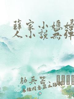 薛家小媳妇笑佳人小说无弹窗