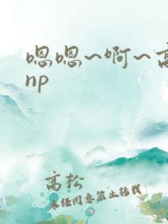 嗯嗯~啊~高hnp