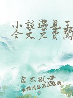 小说遇见王沥川全文免费阅读