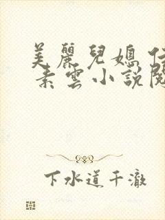 美丽儿媳 佳柔 素云小说阅读