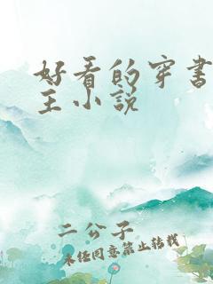 好看的穿书双男主小说