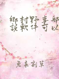 乡村野事哪个小说软件可以看