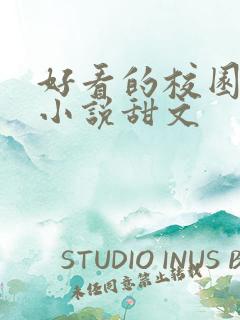 好看的校园言情小说甜文