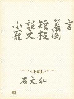小说短篇言情甜宠文校园