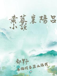 黄蓉襄阳吕文德小说