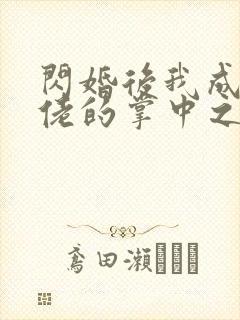 闪婚后我成了大佬的掌中之物短剧在线观看