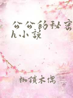 公公的秘密情事h小说