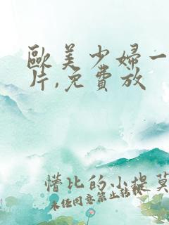 欧美少妇一级淫片,免费放