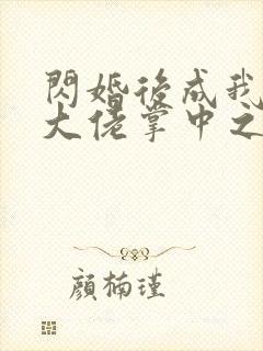 闪婚后成我成了大佬掌中之物
