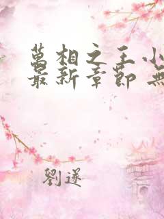 万相之王小说 最新章节 无弹窗