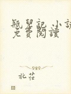 瓶儿记 小说 免费阅读