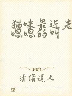 猫咪最近老是嗯嗯嗯的叫
