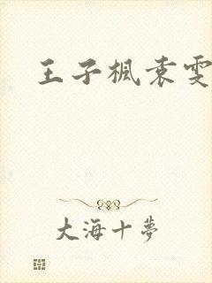 王子枫袁雯洁