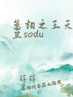 万相之王天蚕土豆sodu