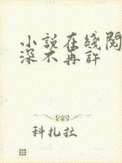 小说在线阅读情深不再许