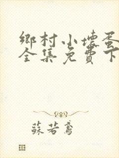 乡村小坏蛋小说全集免费下载