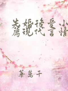 先婚后爱小说推荐现代言情