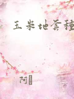 玉米地套种大葱