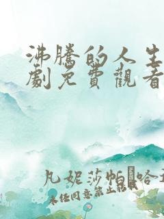 沸腾的人生电视剧免费观看全集高清