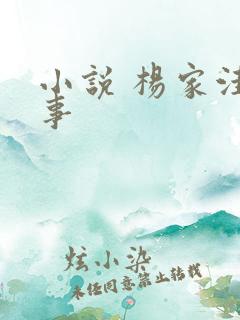 小说 杨家洼情事