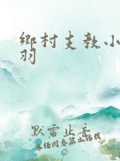乡村支教小说杨羽