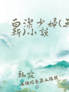 白洁少妇(无删新)小说