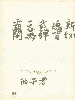霸天武魂新笔趣阁无弹窗txt