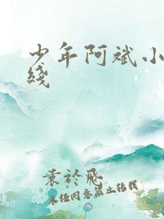 少年阿斌小说在线