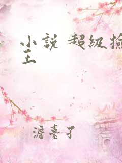 小说 超级捡漏王