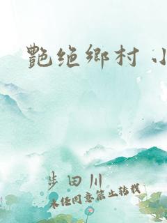 艳绝乡村 小说